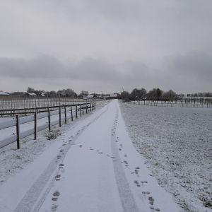 klompenpad winter ochtend