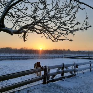 zonsopkomst in de winter